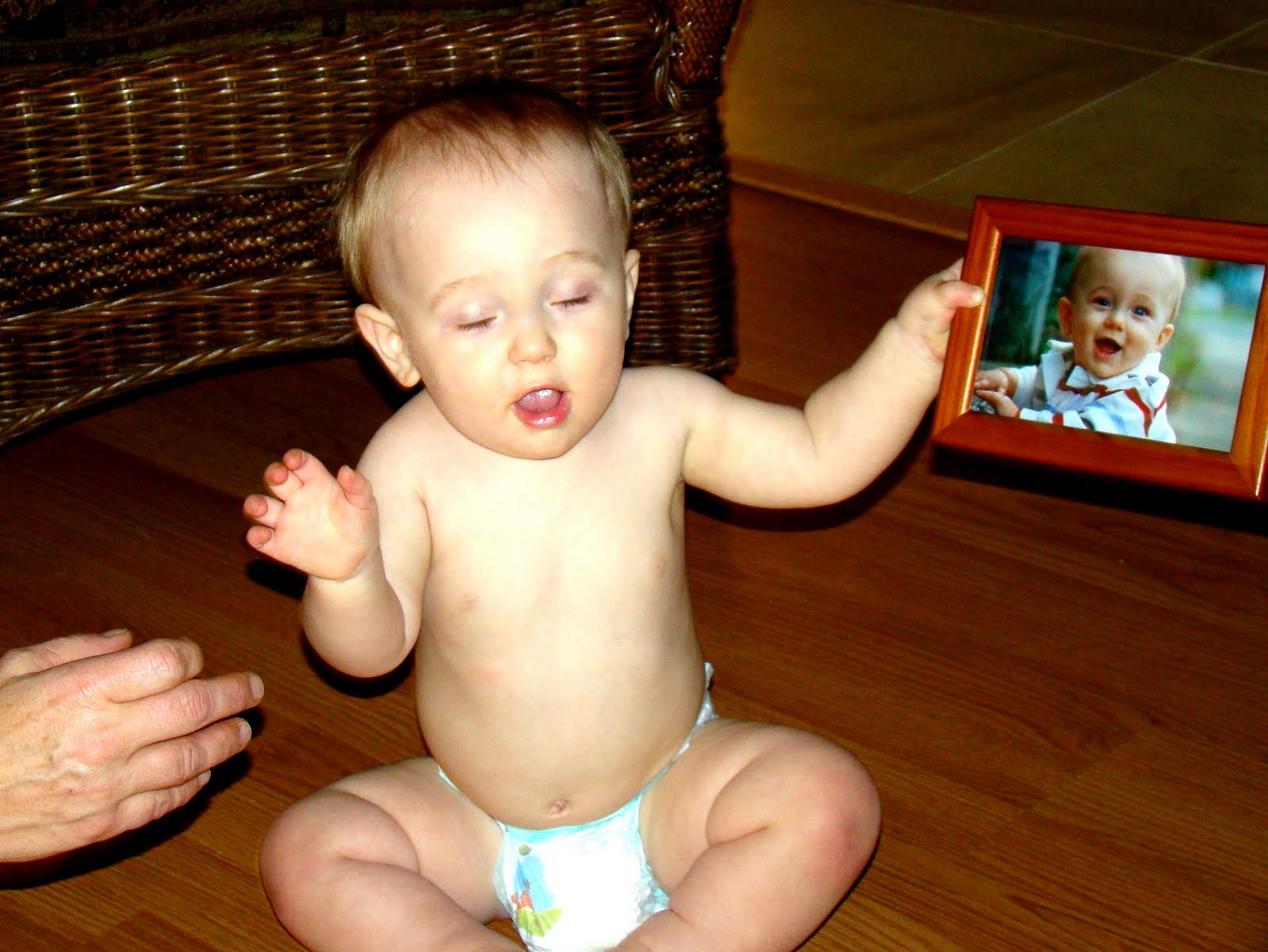 What To Expect The Toddler Years Pdf