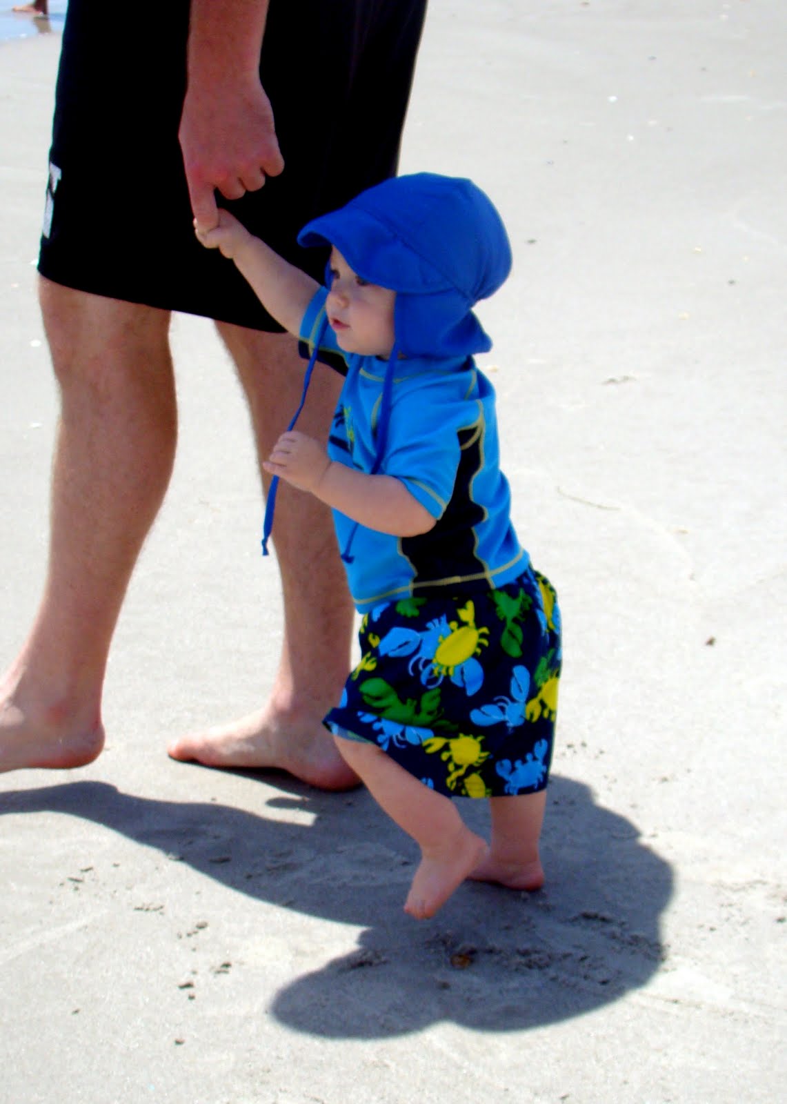 Beach Boy - The Journey of Parenthood...