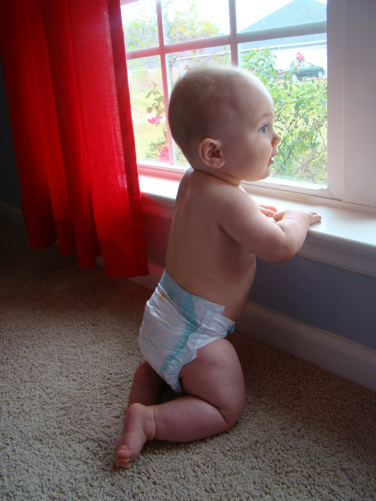 8 Months Old The Journey Of Parenthood 