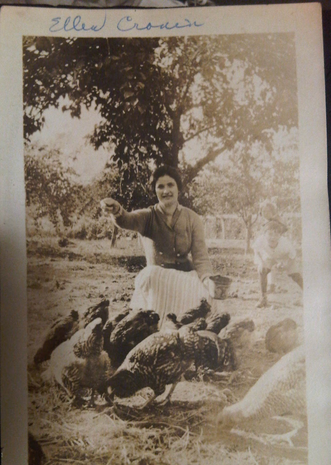 Threading needles in a haystack the genealogy journey Wordless
