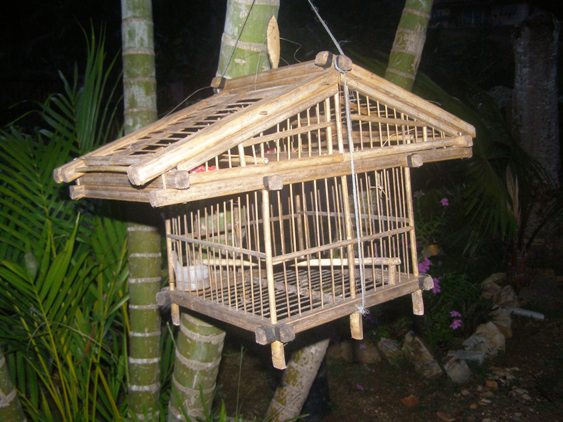 greenoutdoor: Jebak Burung