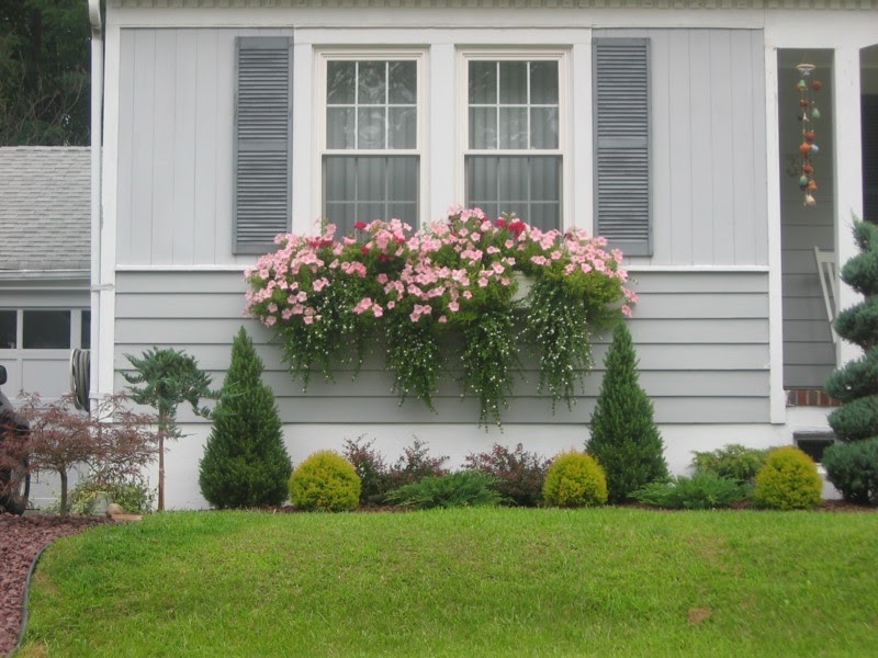 96+ Bushes For Under Front Window