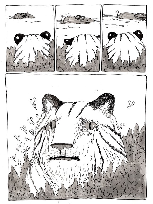 Zejian Shen Illustration Tiger Buffalo