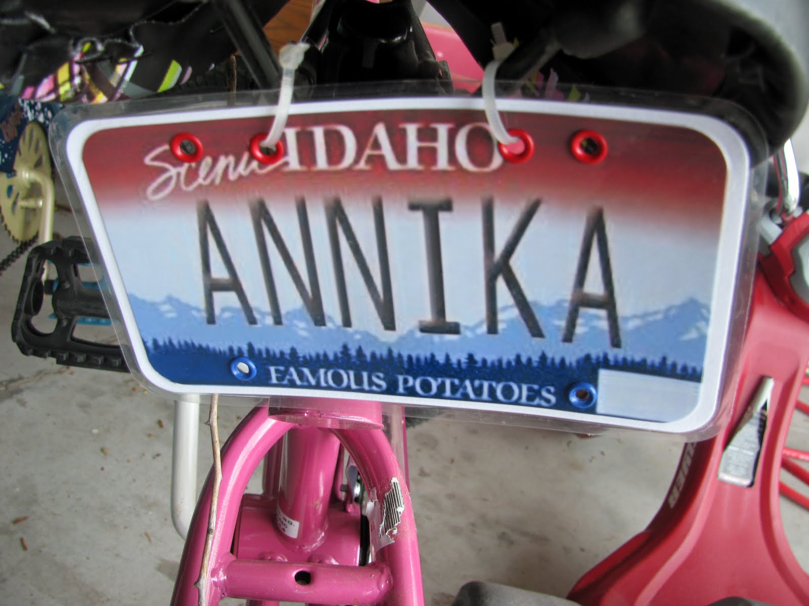 getting a bike license
