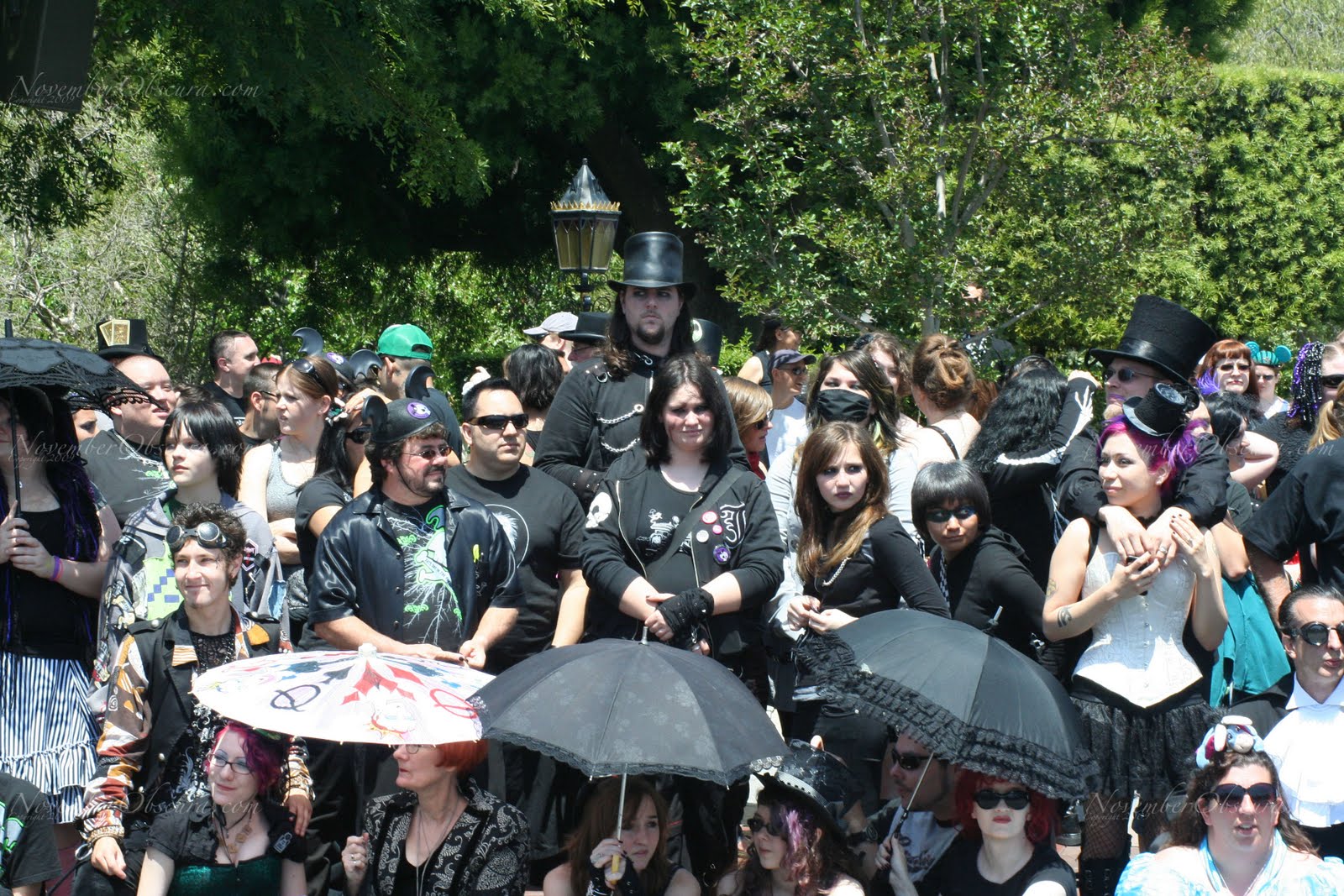 Gothic Tea Society Bats Day at Disneyland The People 2