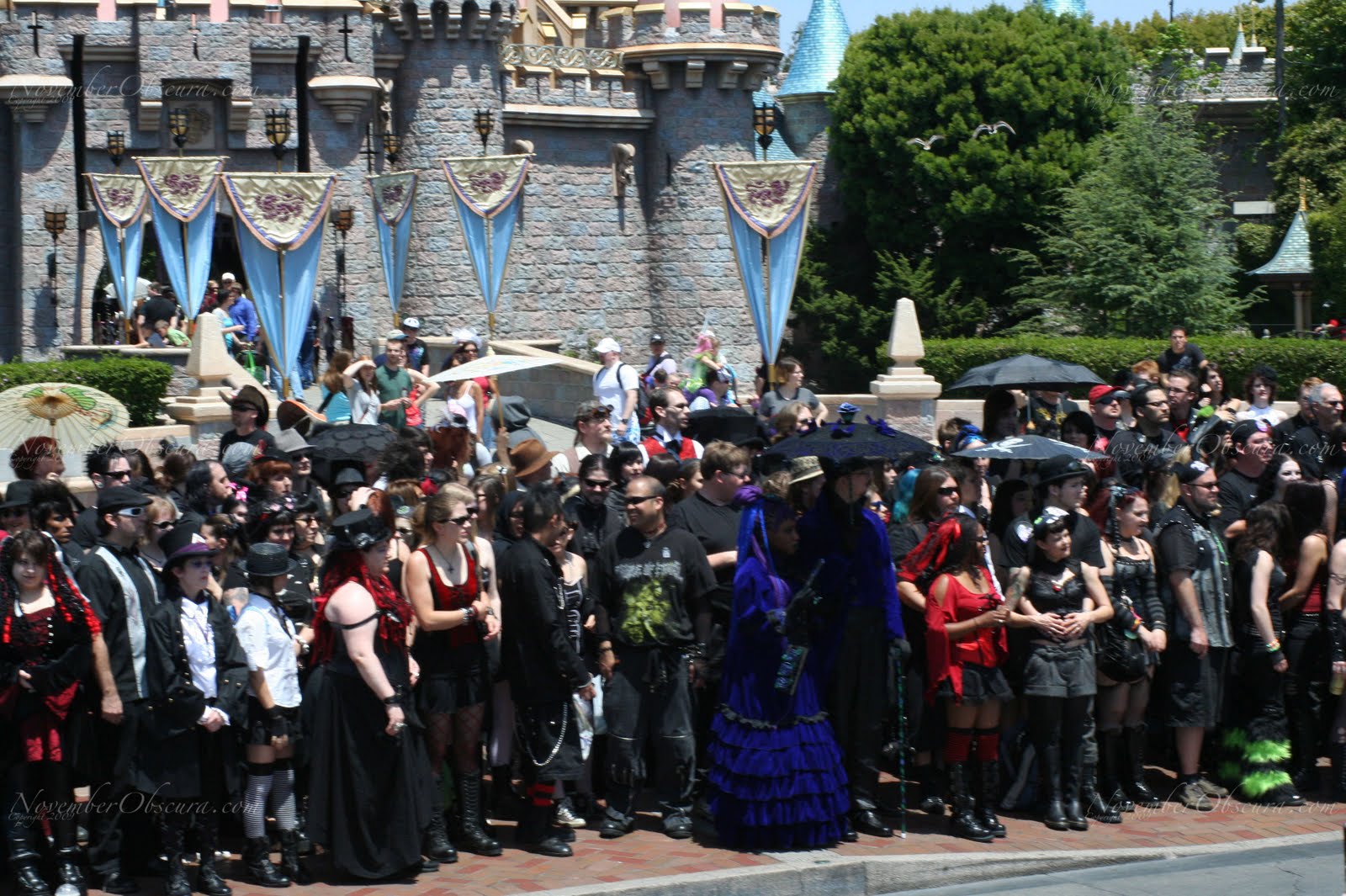 Bats Day Disneyland 2023 2023 Calendar