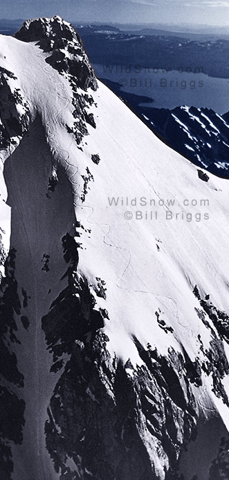 [briggs-tracks-teton.jpg]