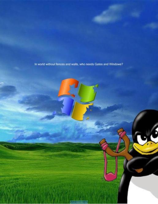 [linux-vs-windows.jpg]