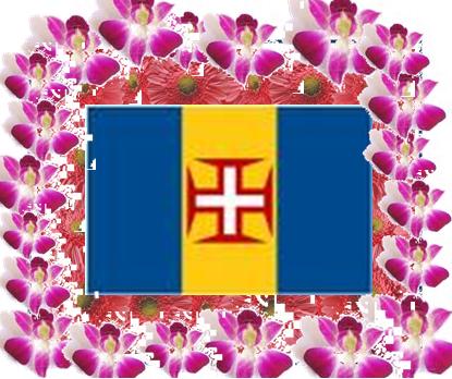 [madeira.jpg]