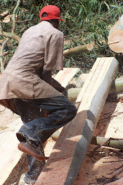 African Sawmill