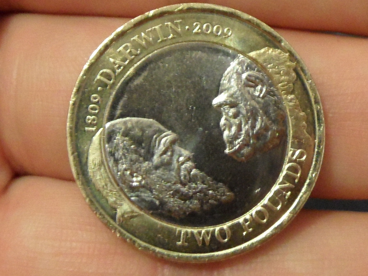 Science and Religion A View from an Evolutionary Creationist The Charles Darwin Two Pound Coin Science and Religion A View from an Evolutionary Creationist The Charles Darwin Two Pound Coin