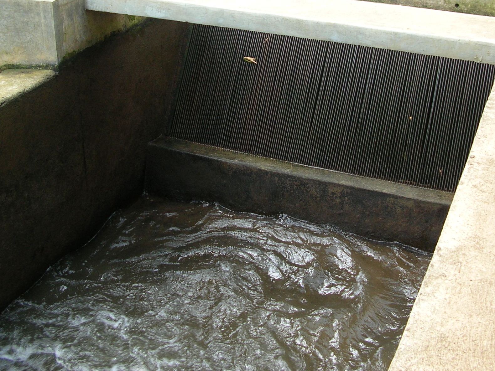 Indonesian Renewable Energy Community (IREC): Trash rack (or screen) losses