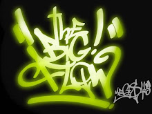 THE BIG FLOW