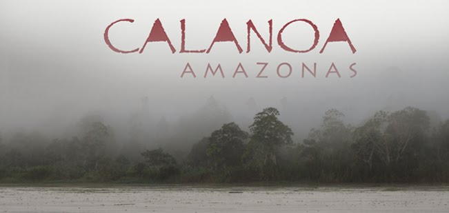 Calanoa Amazonas