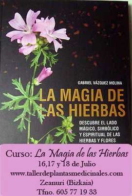 Buscar este blog
