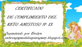 certificado #13