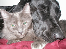 Zepher and Marley