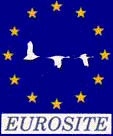 EUROSITE ESPÁTULA