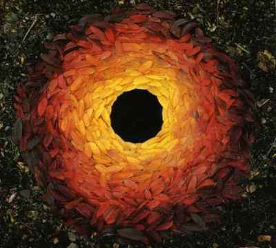 [Rowan+Leaves+with+Hole.jpg]