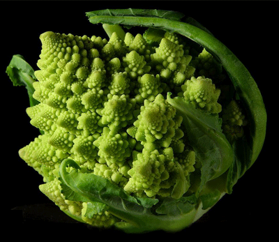 [romanesco_broccoli.gif]