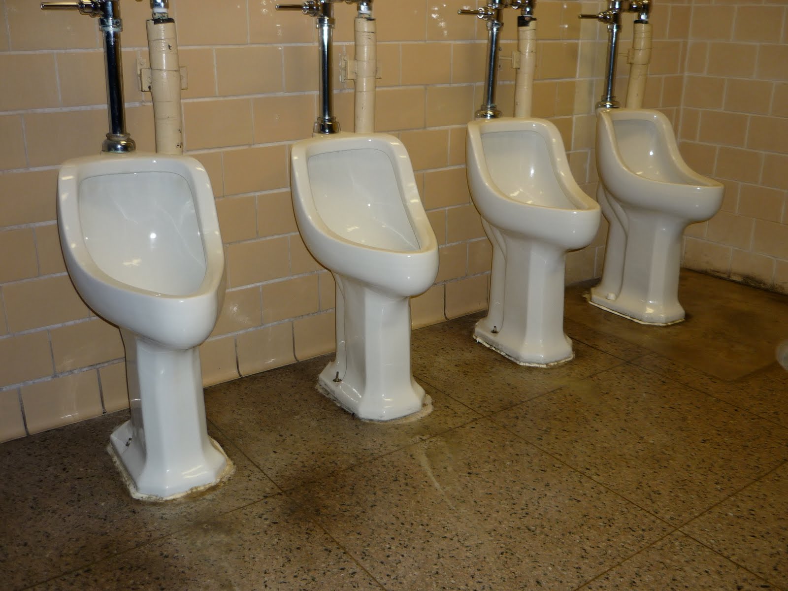 American Bathroom: Penn State Reber Building: A Bathroom Full of