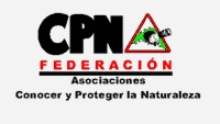 FCPNES en Youtube