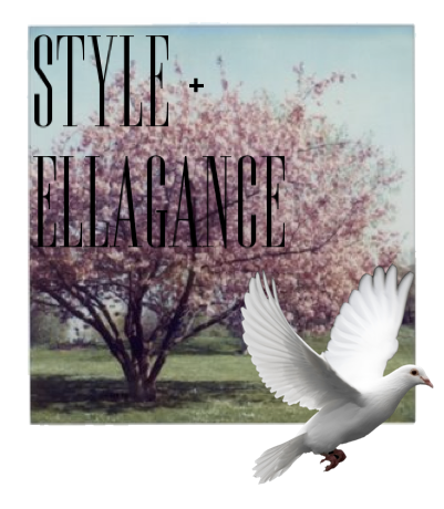 style & ellagance
