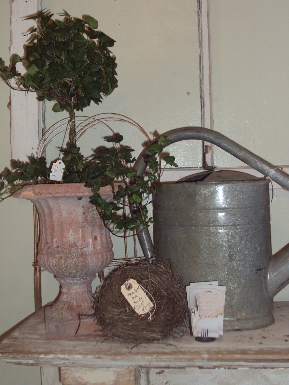 The Antique Gardener: Something New