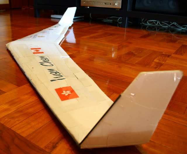 RC Ivan: The Giant Flying Wing