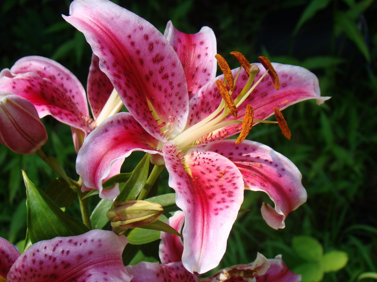 Inspirational Quotes