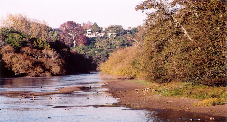 Waikato River, Hamilton
