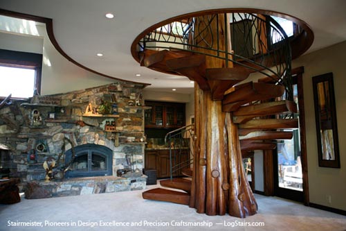 Spiral Staircase Tree Trunk