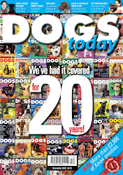 The December issue of Dogs Today