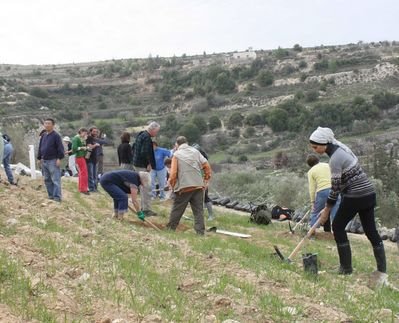 [normal_OPlanting_2009_2_2.jpg]
