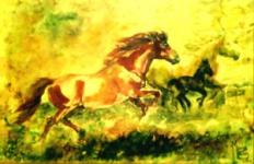 [Aquarela+Mattos.jpg]