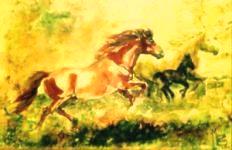 [Aquarela+Mattos.jpg]