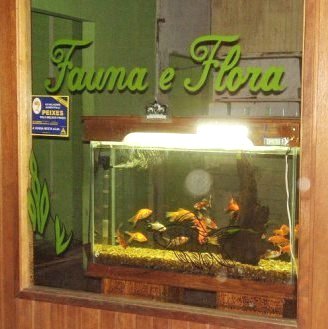 [Mercado+aquário.jpg]