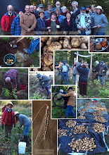 SPUDS Harvest, Oct. 09