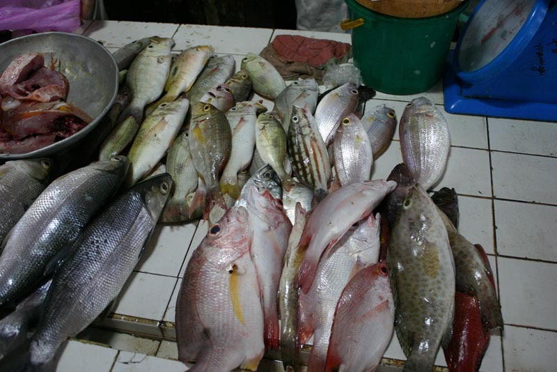 Life in Marinduque, Philippines Philippines fish a