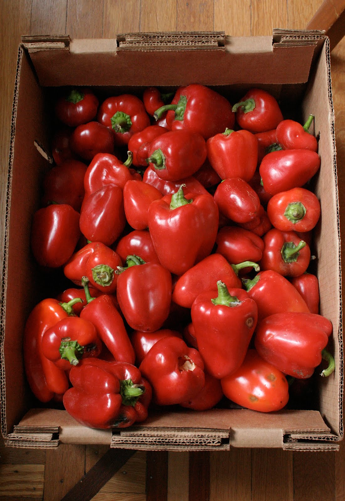 the-happily-ever-after-september-2010