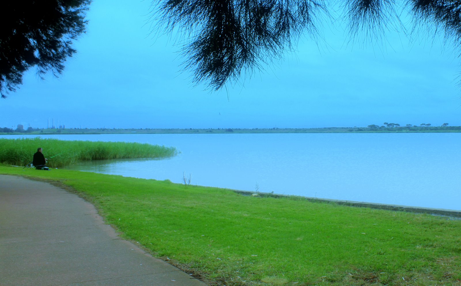 My Melbourne Experience, and beyond Still Waters at Cherry Lake, Altona
