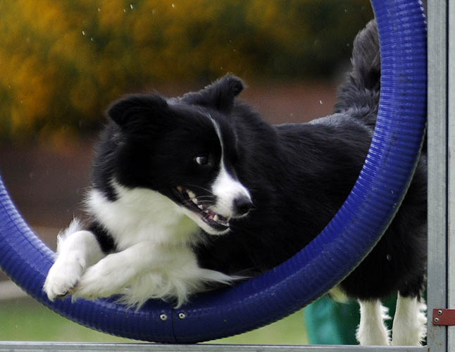 [stateag09spryte4.jpg]