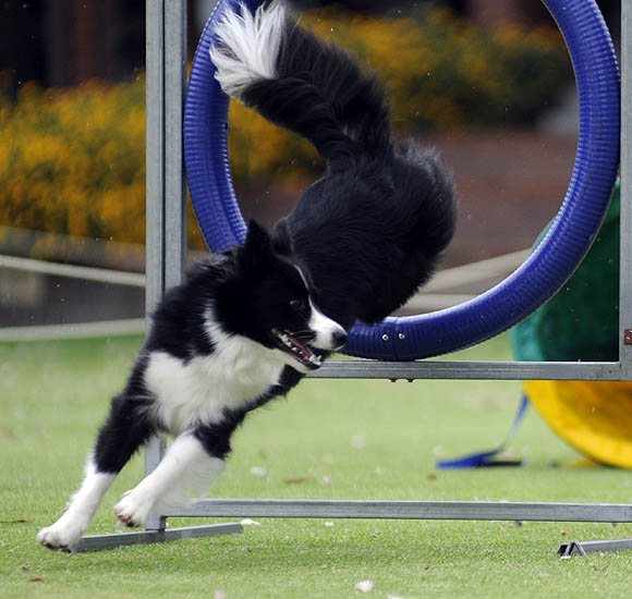 [stateag09spryte3.jpg]