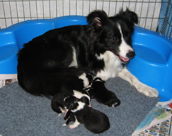 [spryteandbubs1wk.jpg]