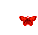 7abbe0c8edb93543a2325dd00e9755a7.gif