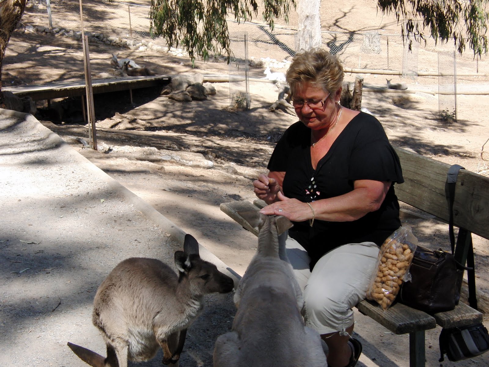 Foto's van Truus Wildlife Park Cudlee Creek Adelaide