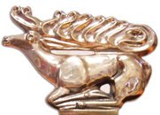 [molodist09awrd.jpg]