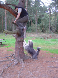 Tree Climbing