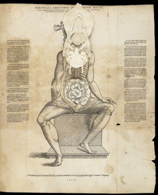 Th Century Anatomical Sheets Images And Animations Now Online