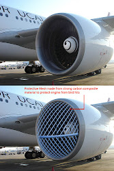 bird engine airplane hits hit aeroplane 2009 help